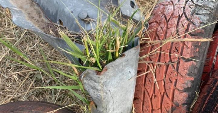 Επιστολή για τα ακατάλληλα μέτρα ασφαλείας της Κύμης από τον Π. Σολδάτο