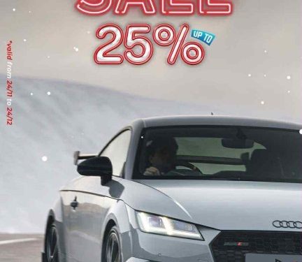 Revlimit: Holiday Sales up to 25%